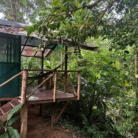 Rio Agujitas Eco Farm Hostel And Tours Drake Bay Exterior photo