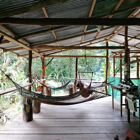 Rio Agujitas Eco Farm Hostel And Tours Drake Bay Exterior photo