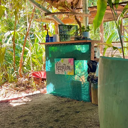 Rio Agujitas Eco Farm Hostel And Tours Drake Bay Exterior photo