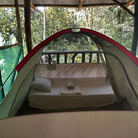 Rio Agujitas Eco Farm Hostel And Tours Drake Bay Exterior photo