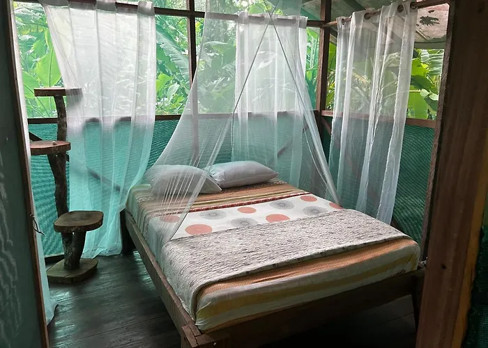 Rio Agujitas Eco Farm Hostel And Tours