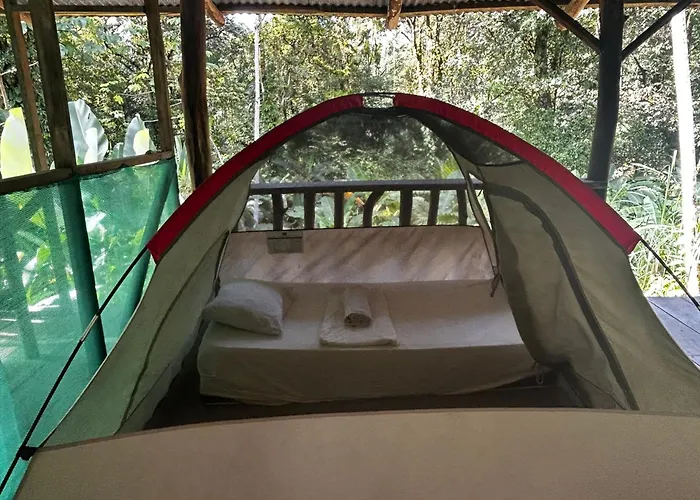 Rio Agujitas Eco Farm Hostel And Tours