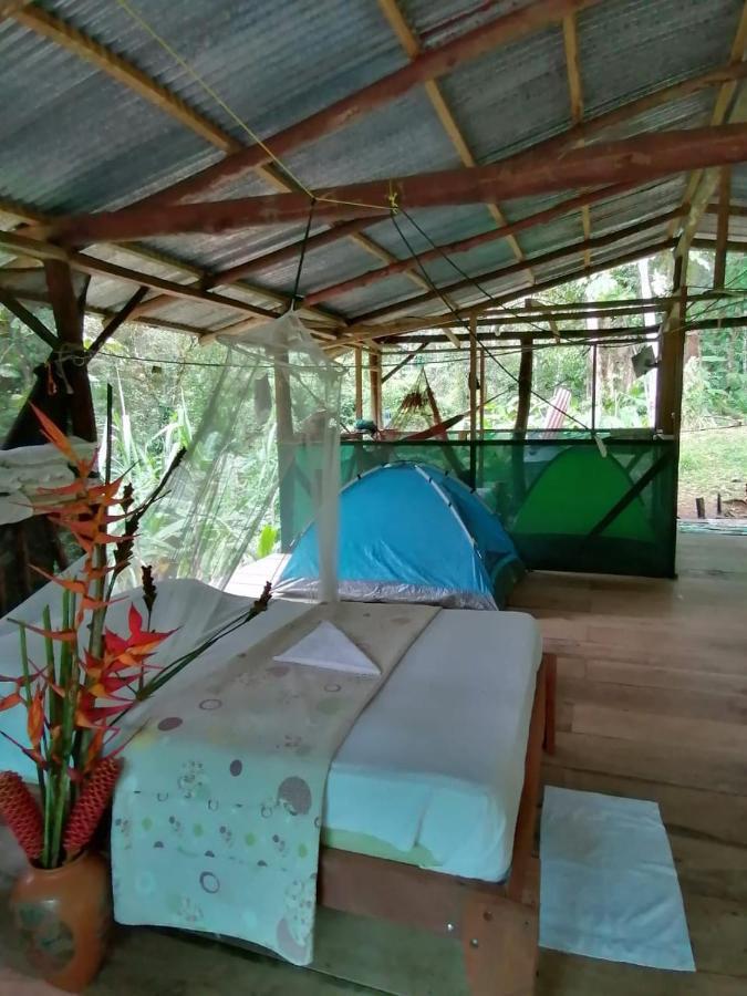 Campsite Rio Agujitas Eco Farm And Tours Drake Bay