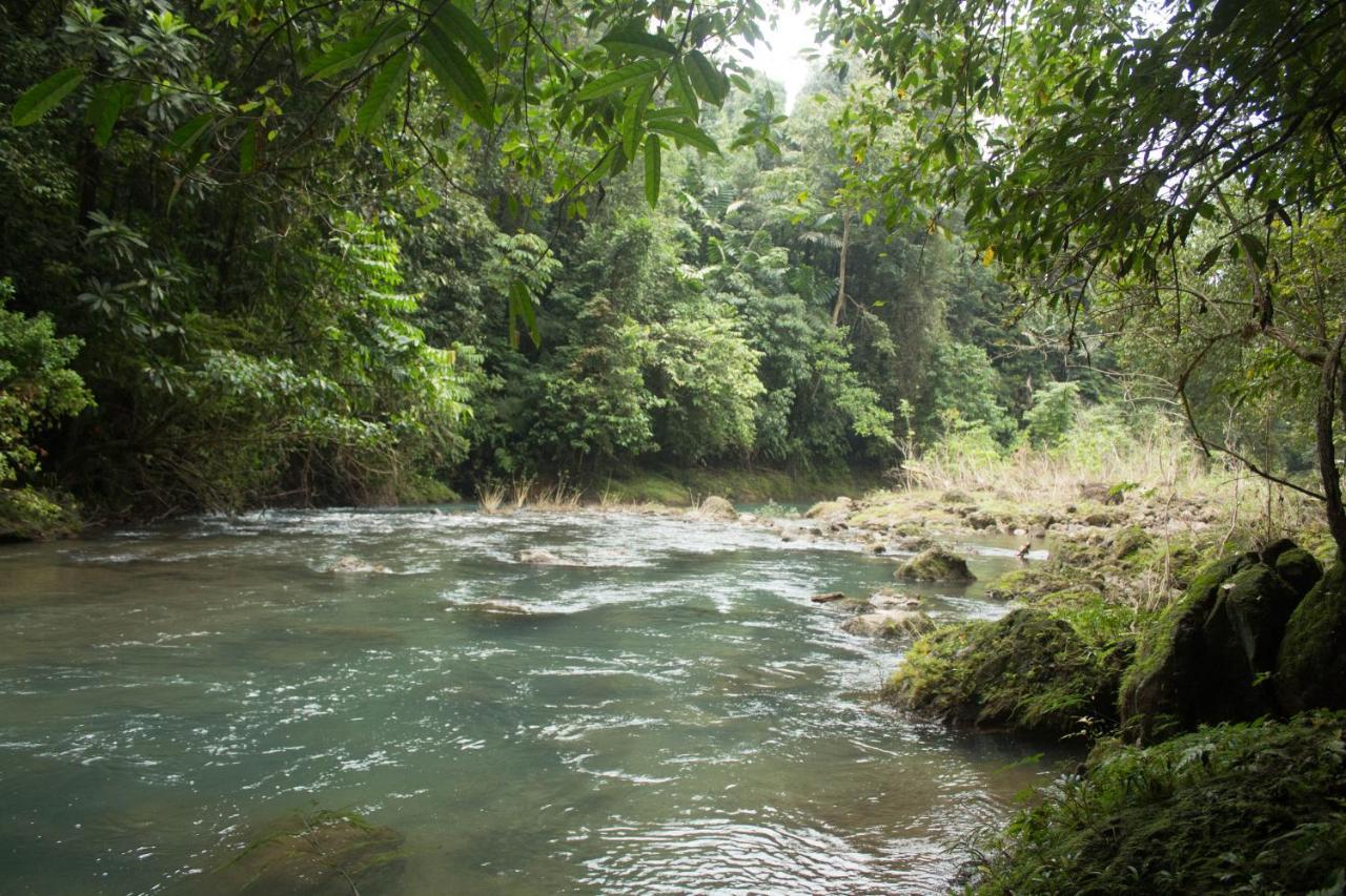 Rio Agujitas Eco Farm And Tours Campsite