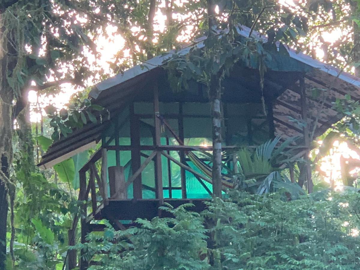 Rio Agujitas Eco Farm And Tours