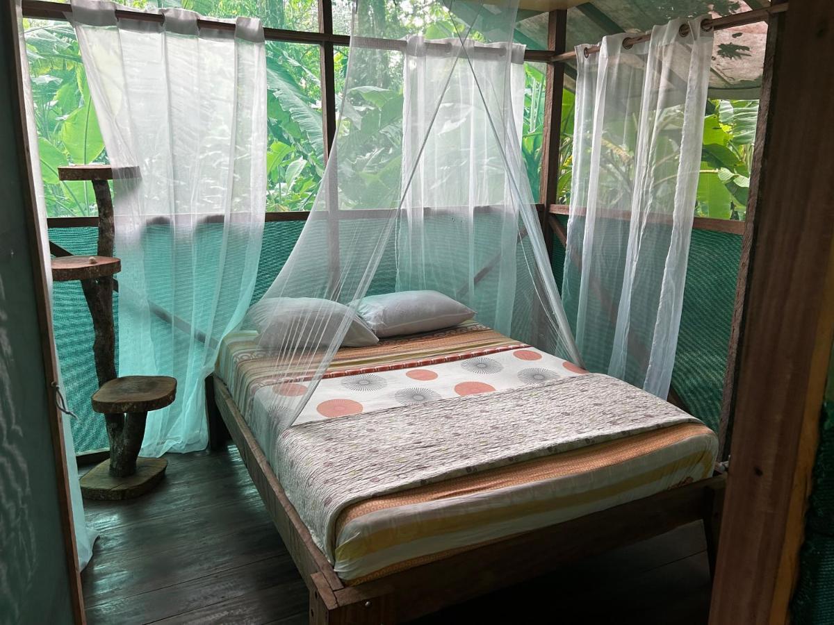 Rio Agujitas Eco Farm And Tours Campsite Drake Bay