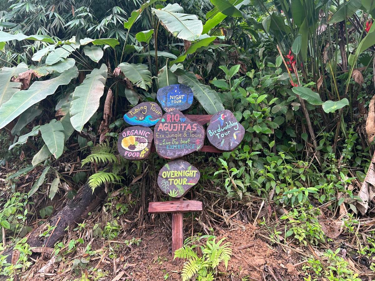 Campsite Rio Agujitas Eco Farm And Tours *