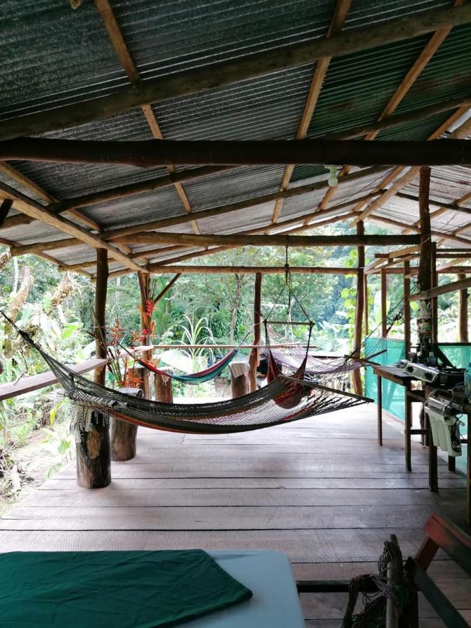 Campsite Rio Agujitas Eco Farm And Tours Drake Bay