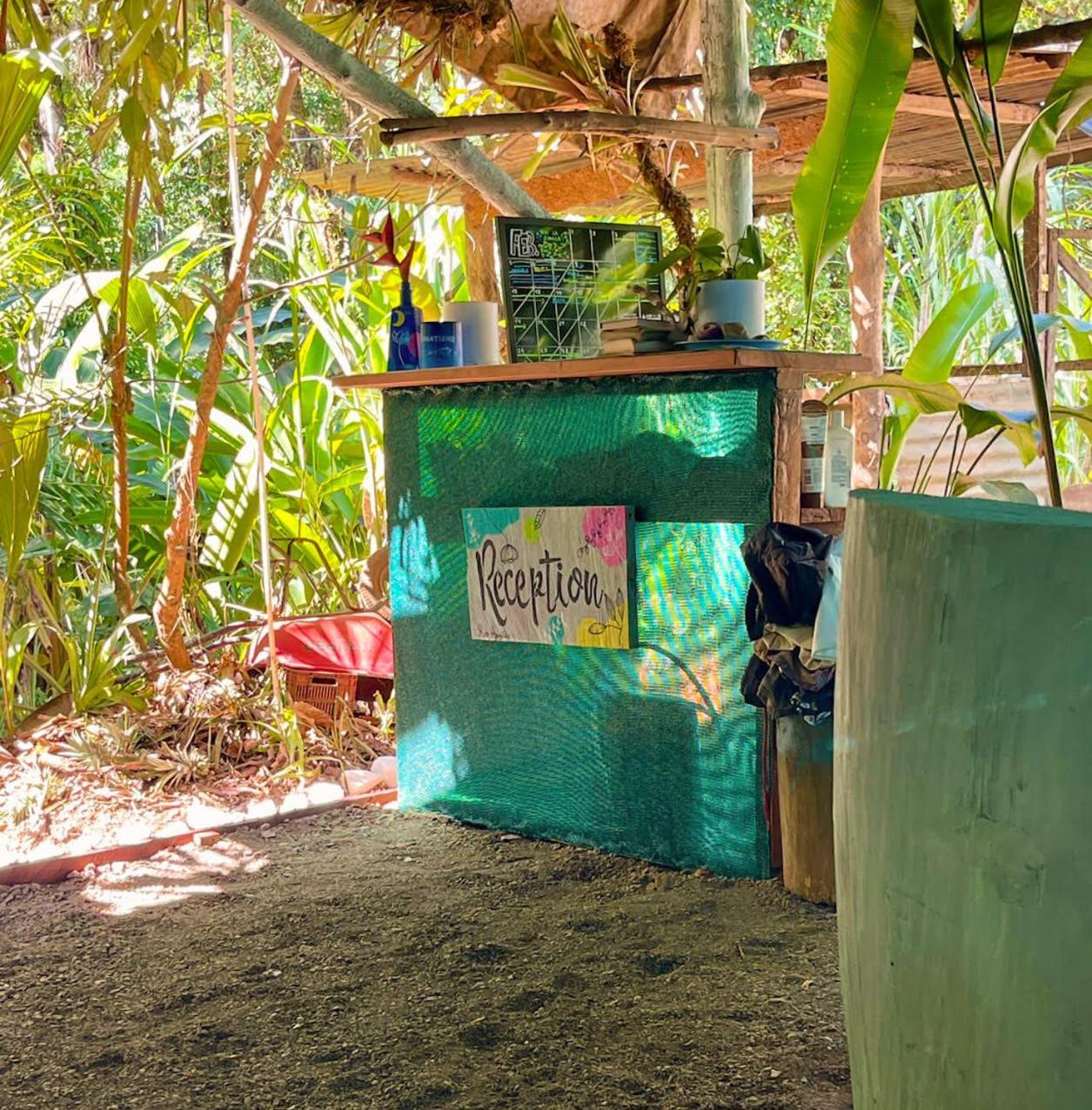 Rio Agujitas Eco Farm And Tours * Drake Bay