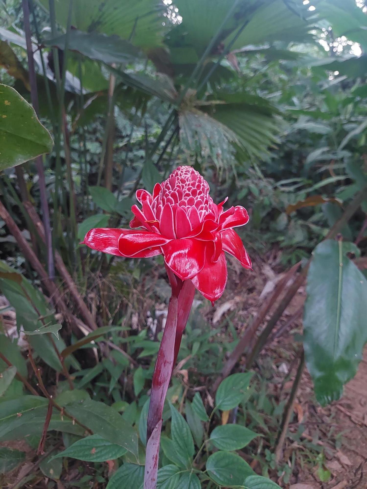 Rio Agujitas Eco Farm And Tours Campsite