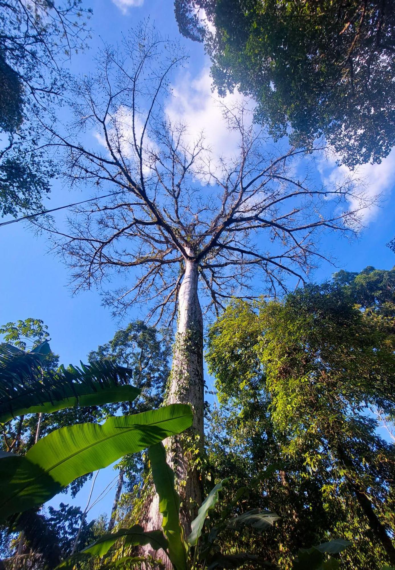 Rio Agujitas Eco Farm And Tours Campsite *