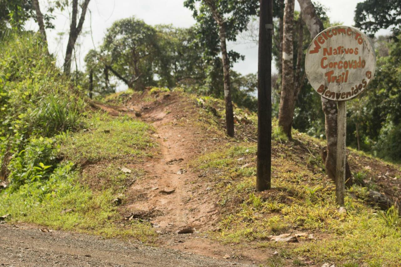 Rio Agujitas Eco Farm And Tours
