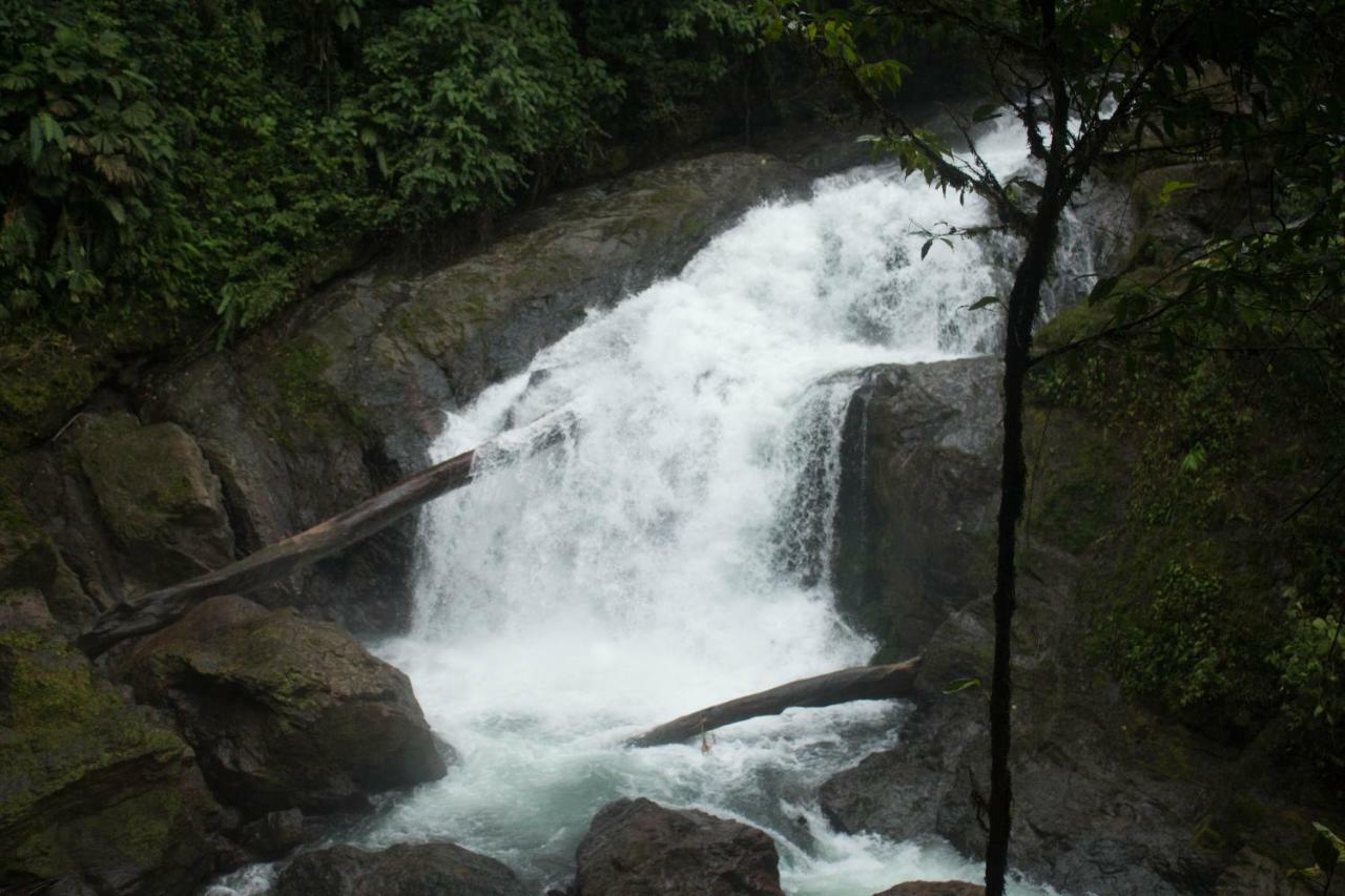 Rio Agujitas Eco Farm And Tours *