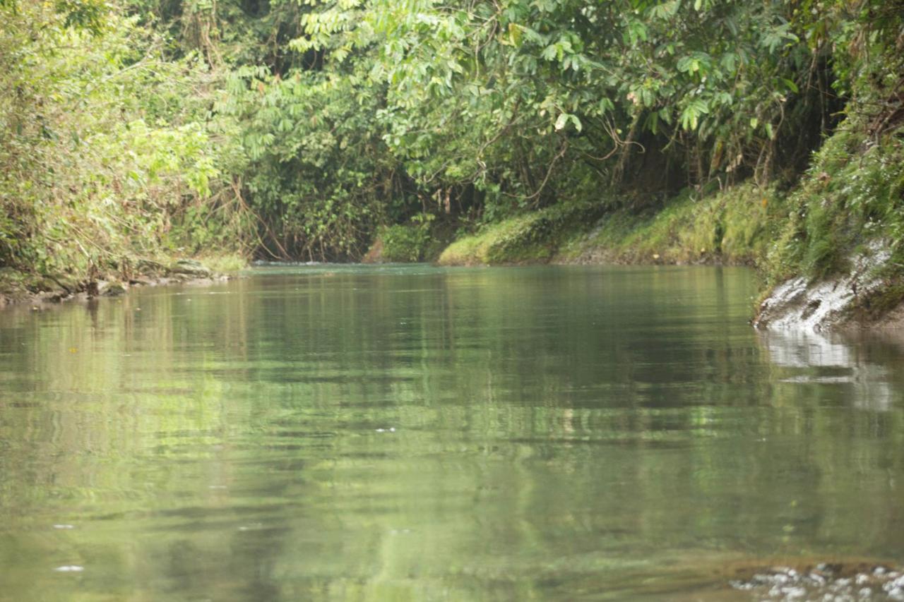 Campsite Rio Agujitas Eco Farm And Tours Drake Bay
